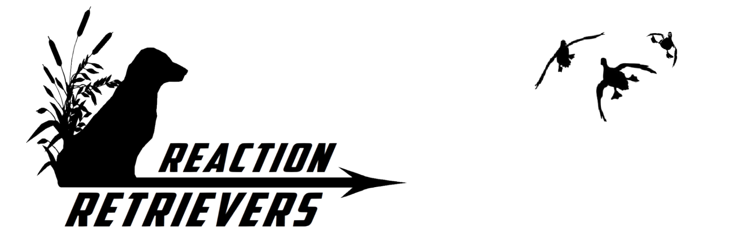 Reaction Retrievers