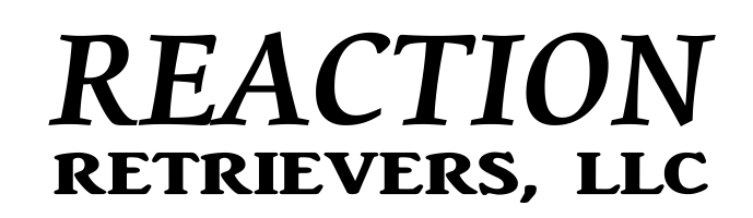 Reaction Retrievers serif wordmark