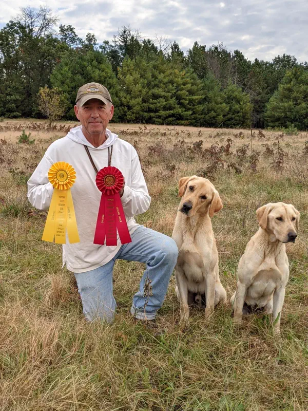 A handler kneeling in a field with two yellow Labrador Retrievers and two competition ribbons
