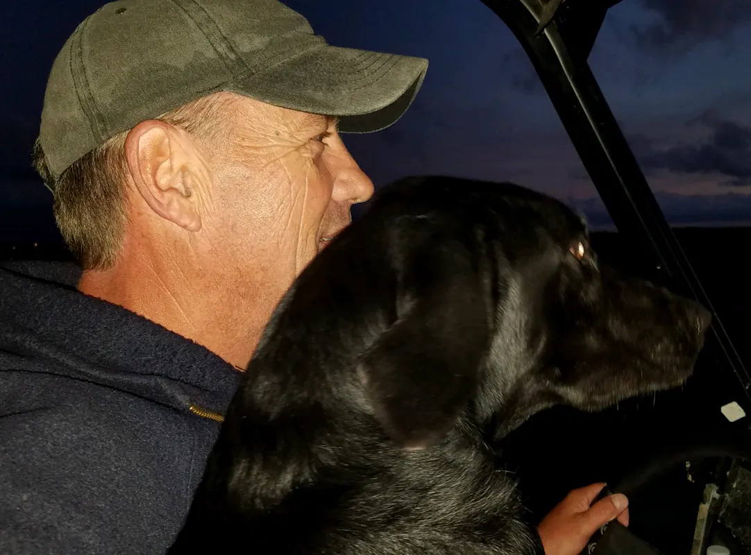 At night inside a vehicle, a handler in a cap sits beside a black Labrador Retriever