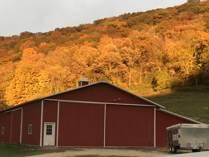 A large red barn with white trim at the foot of a hillside covered in autumn colour, a white trailer parked nearby