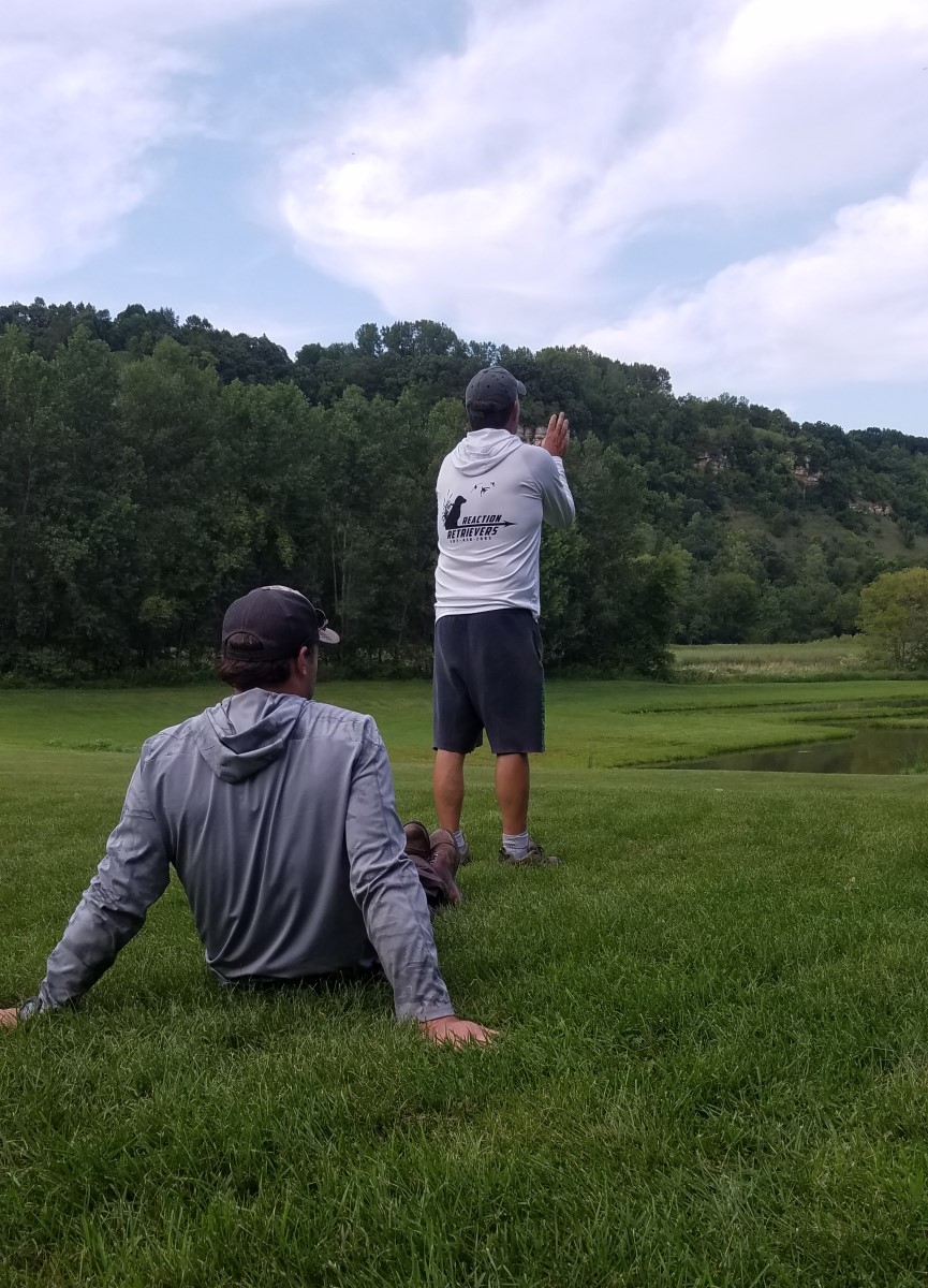 Personal Dog Training